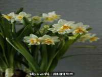 安徽省杰之盛信息科技有限公司