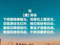 安徽省杰之盛信息科技有限公司